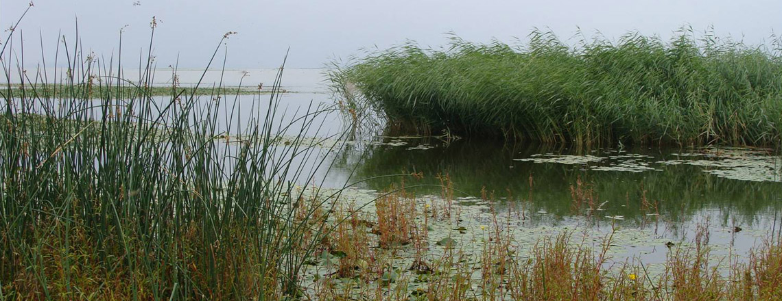 Хар-Ус нуур